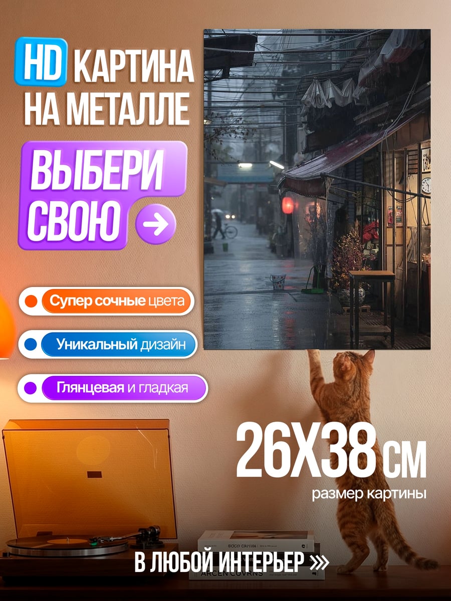 Картина на металле Дождливая улица Токио