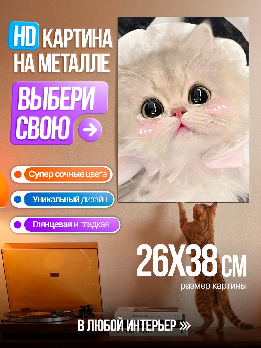 Картина на металле Пушистый котенок