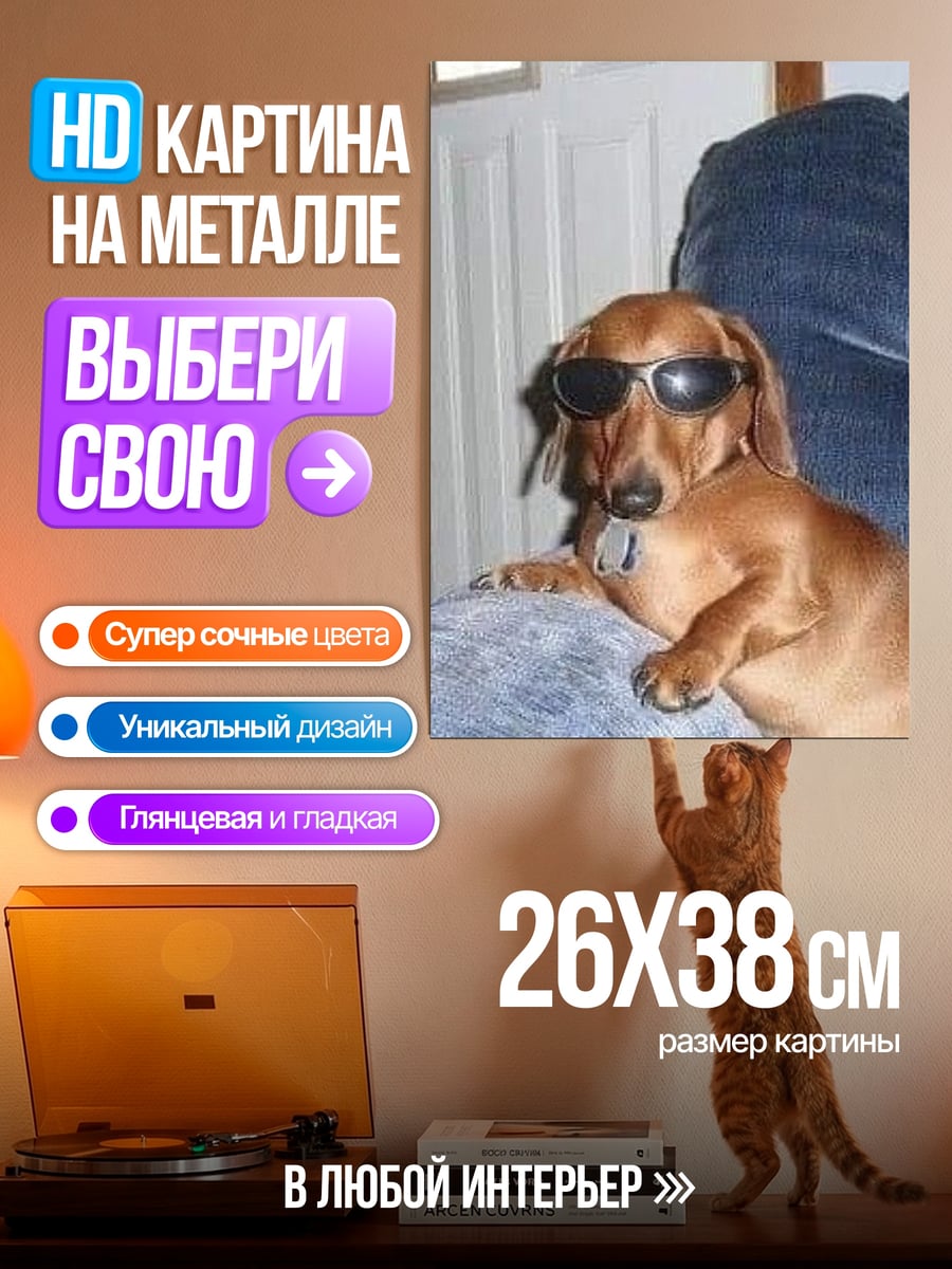 Картина на металле Такса в очках