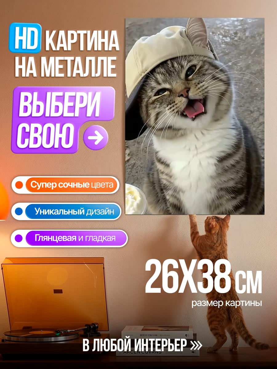 Картина на металле Кот в кепке