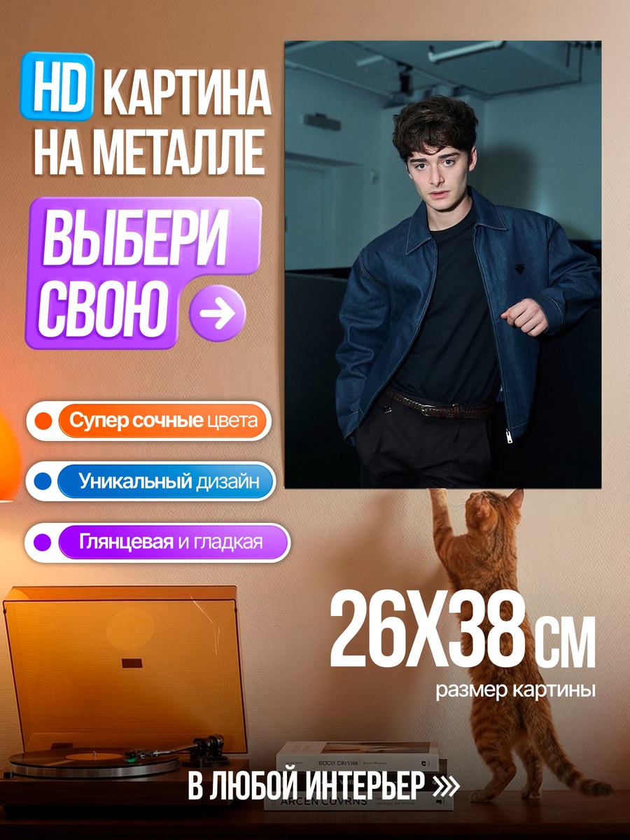 Картина на металле Ноа Шнапп