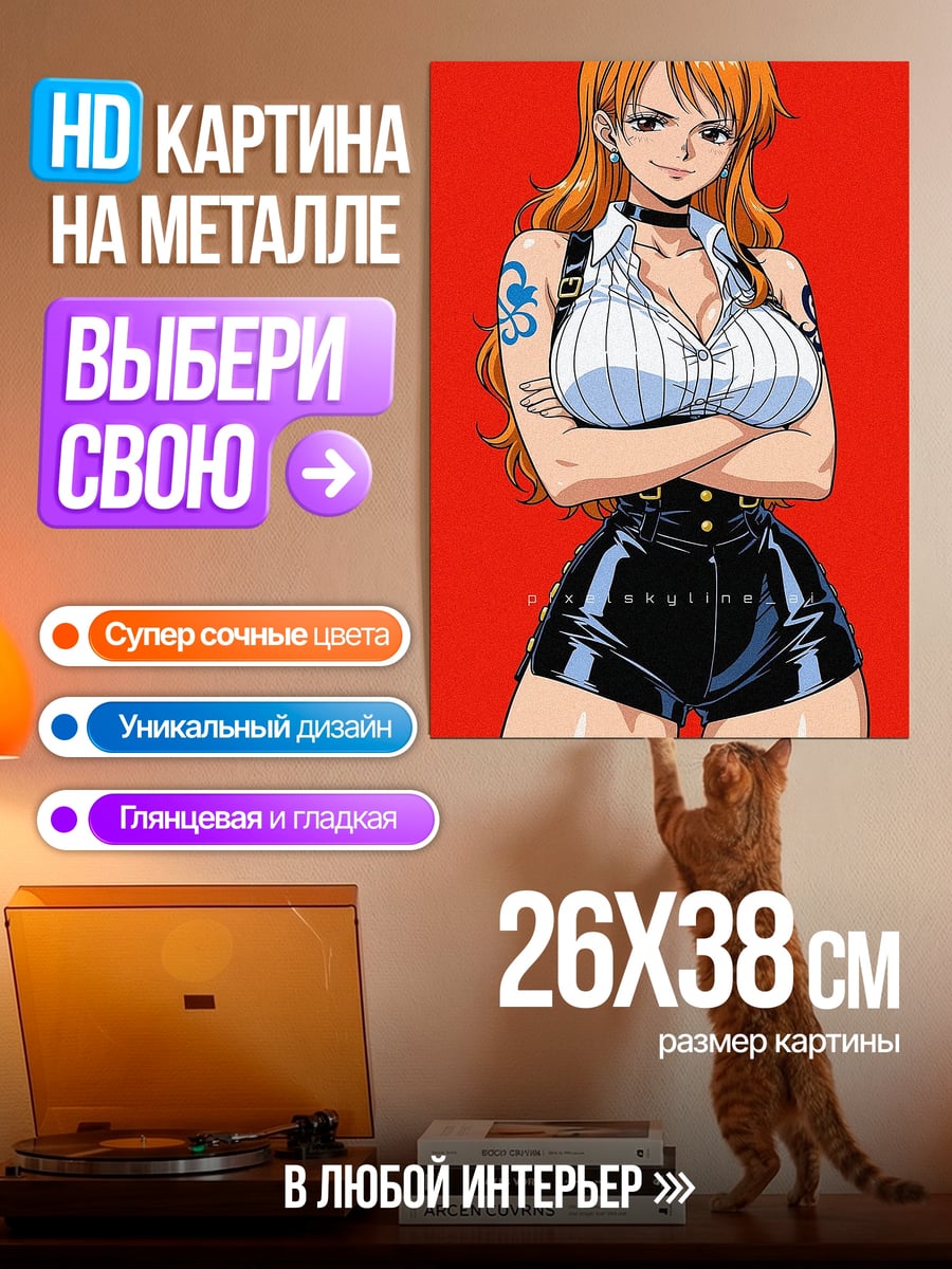 Картина на металле Нами пират
