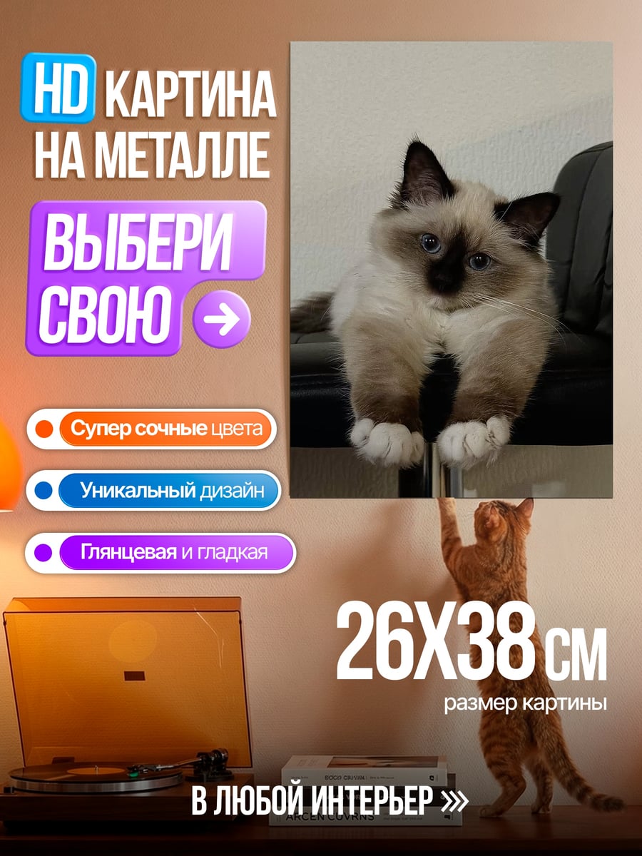 Картина на металле Пушистый кот