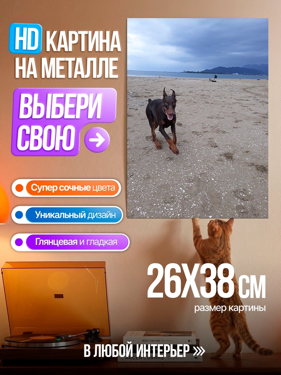 Картина на металле Доберман на пляже