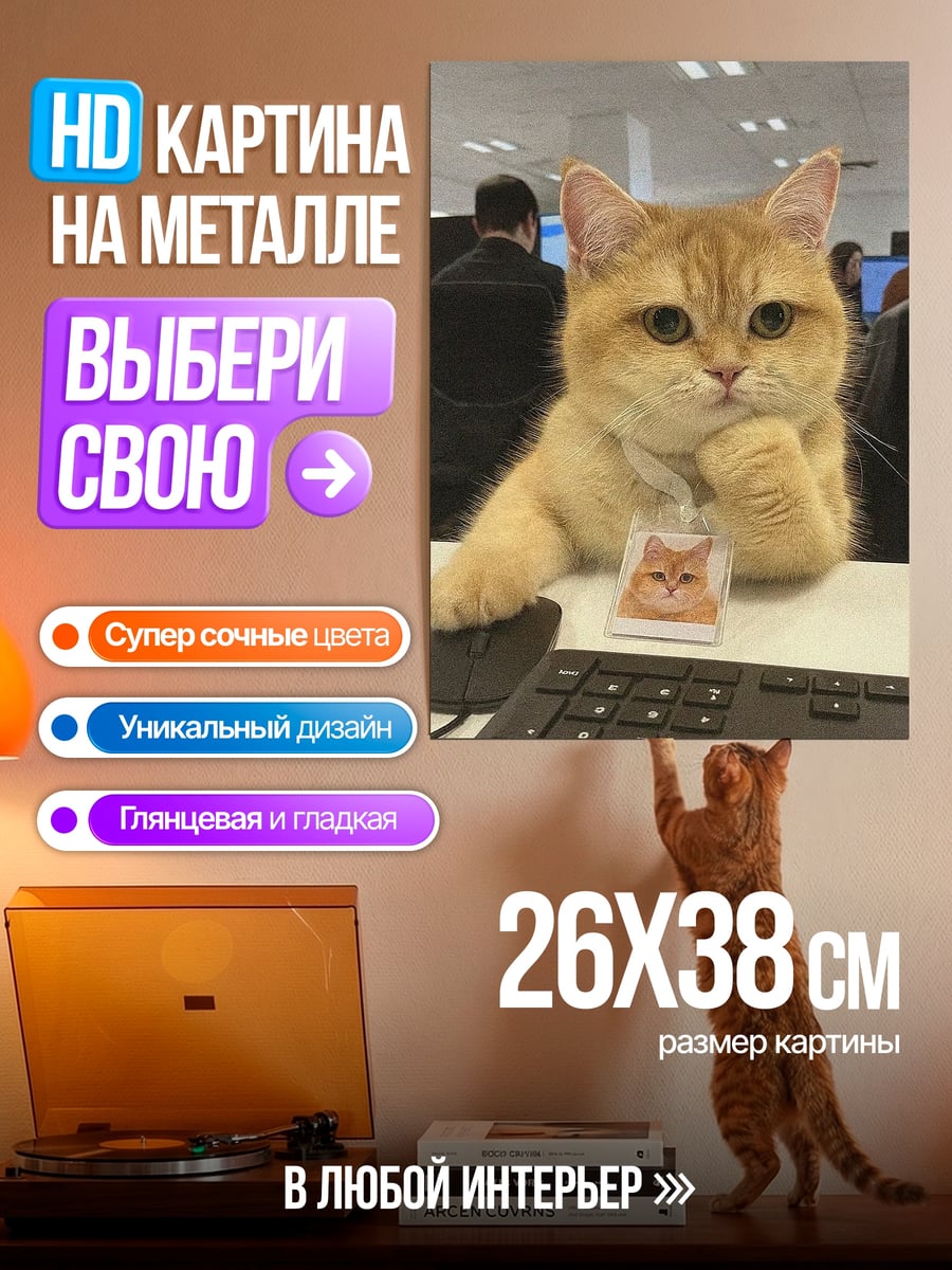 Картина на металле Кот за компьютером