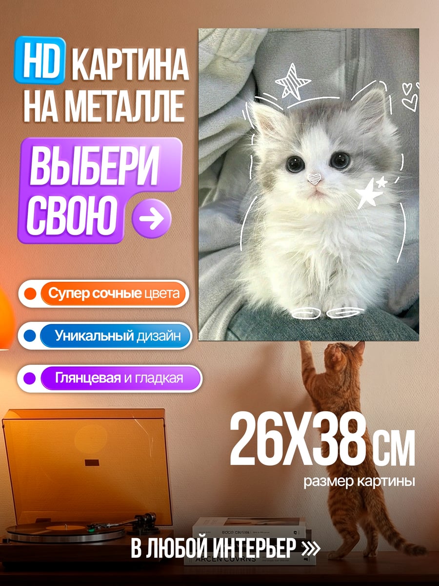 Картина на металле Милый котенок с звездами