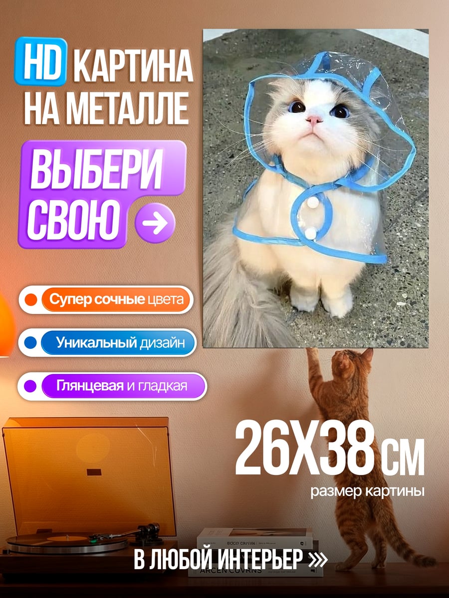 Картина на металле Кот в дождевике