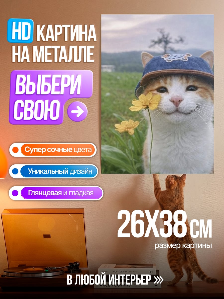 Картина на металле Кот в панамке с цветком