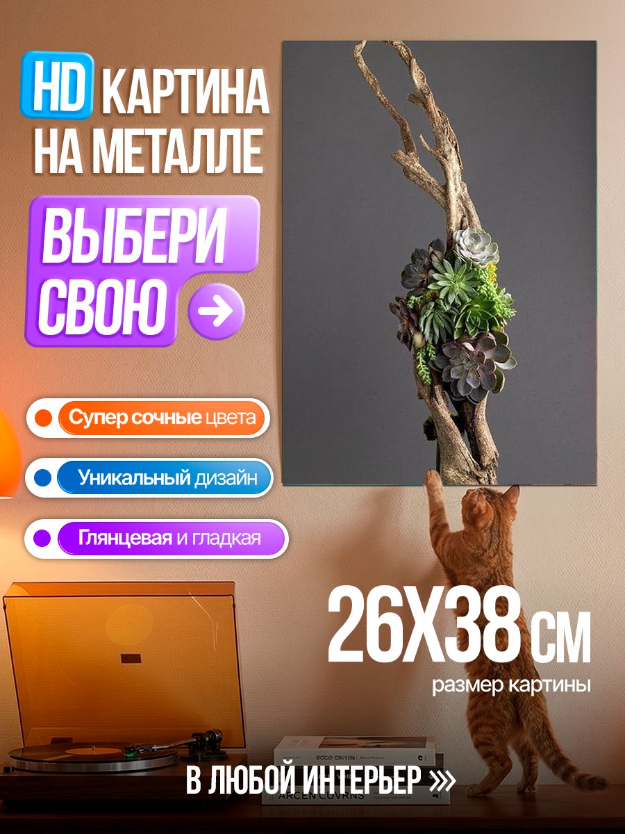 Картина на металле Суккуленты на коряге