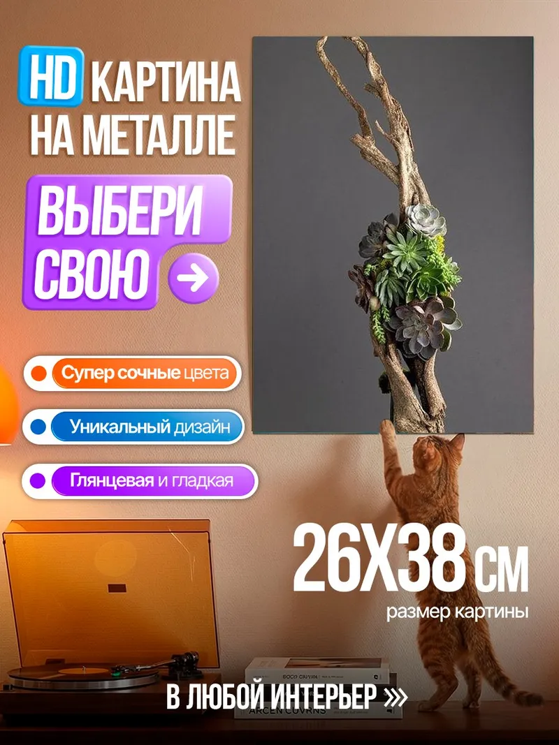 Картина на металле Суккуленты на коряге