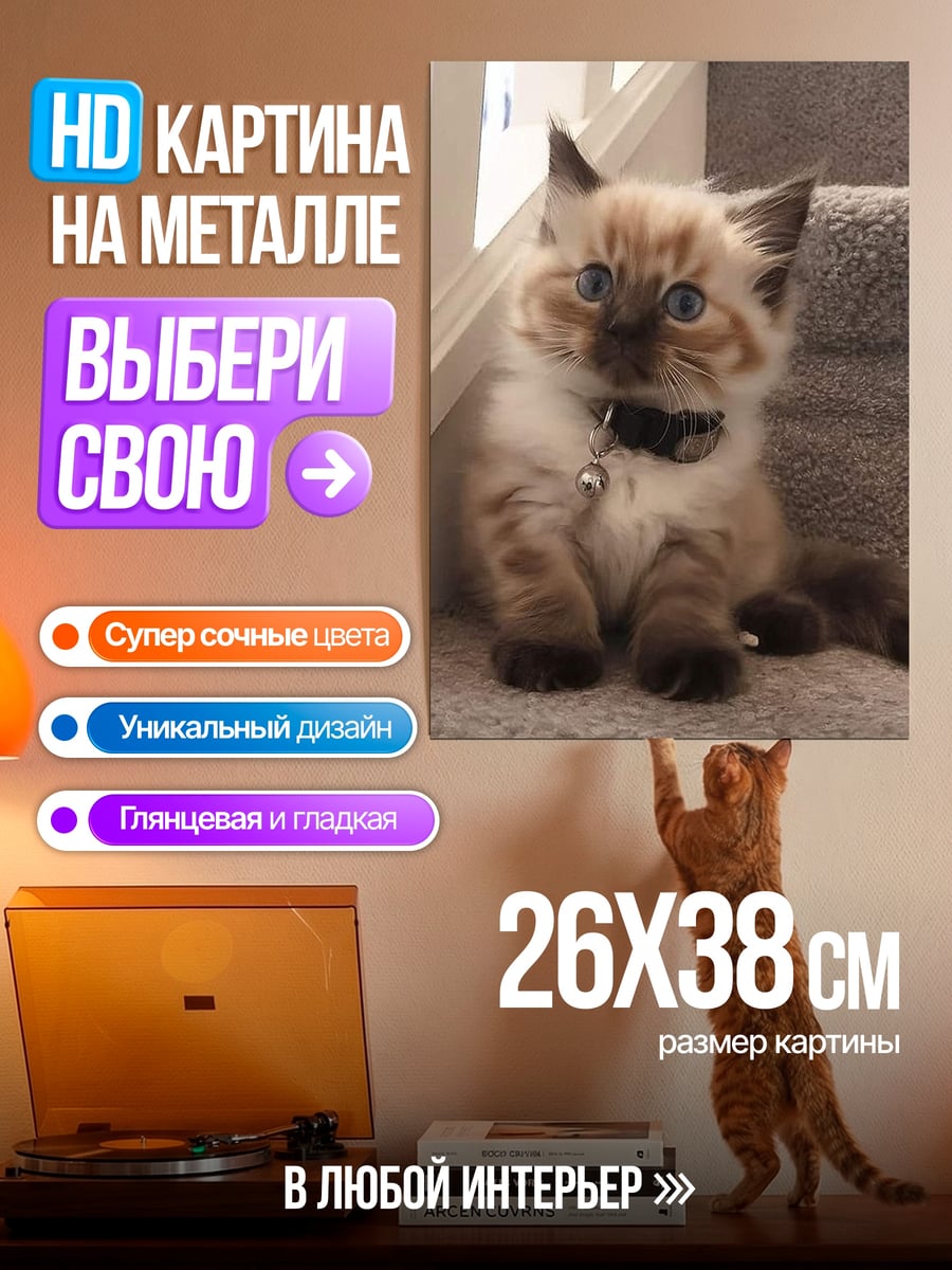 Картина на металле котенок на лестнице
