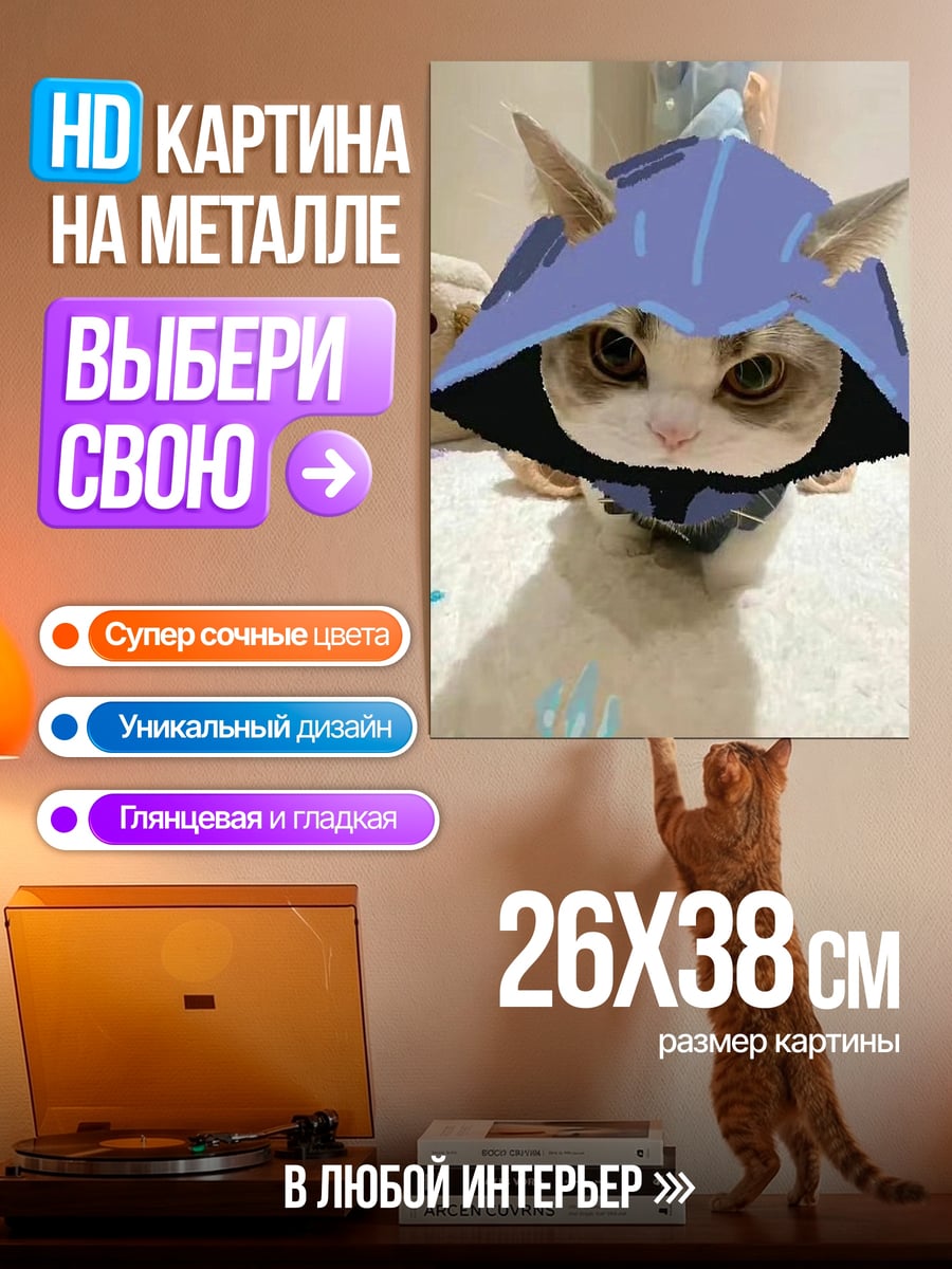 Картина на металле Кот в шлеме