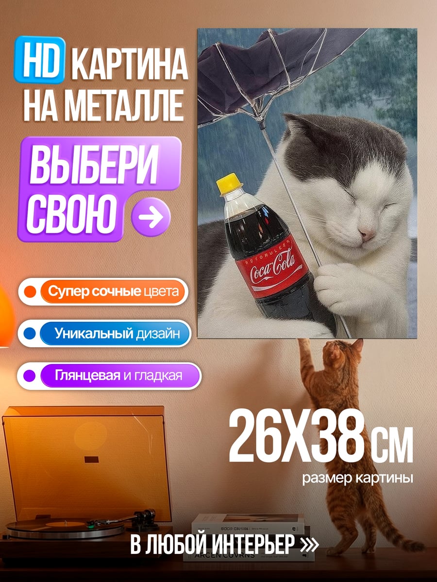 Картина на металле Кот с колой
