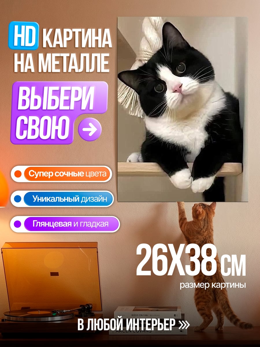 Картина на металле Черно-белый кот