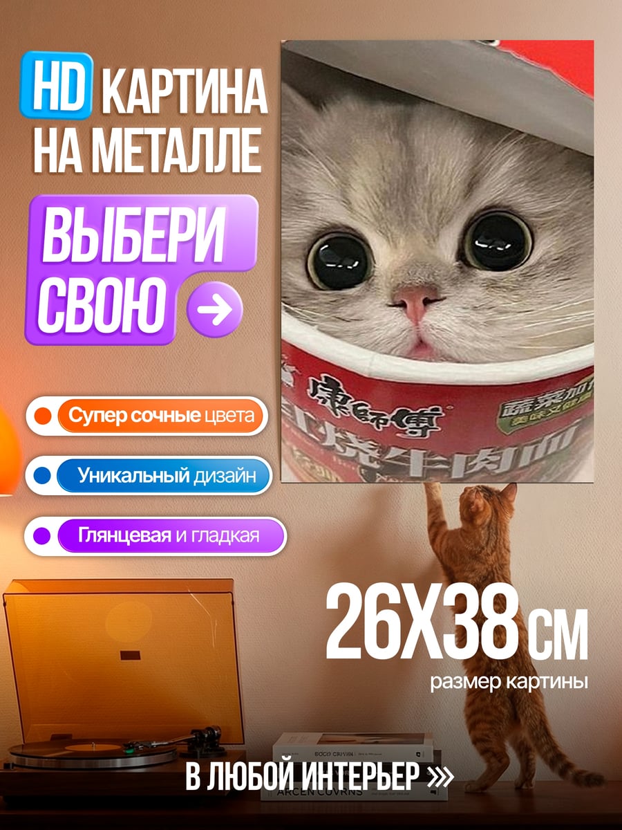Картина на металле Кот в стакане рамена