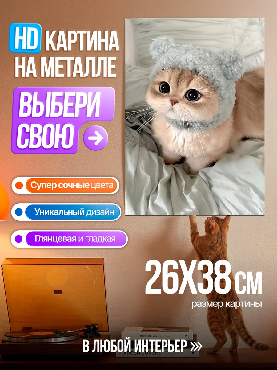Картина на металле Кот в шапке