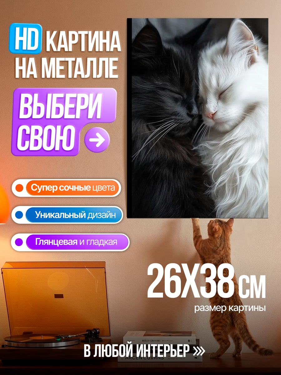 Картина на металле Черно-белые коты