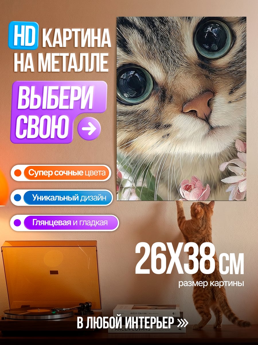 Картина на металле Кот с большими глазами