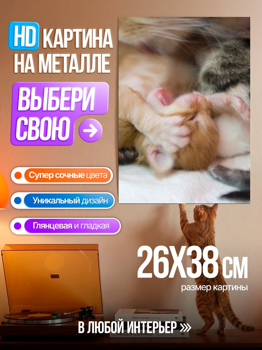 Картина на металле Котята спят