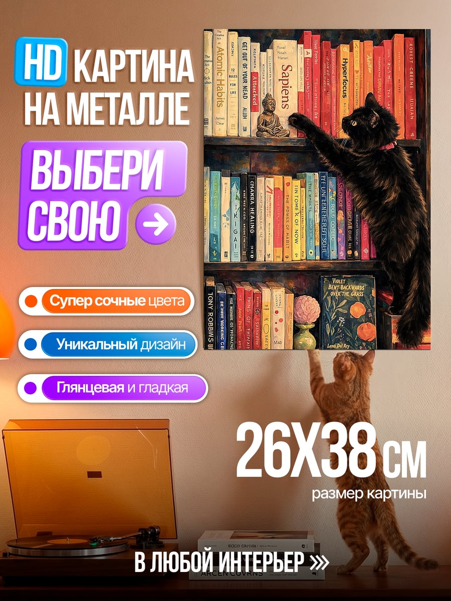 Картина на металле Черный кот и книги