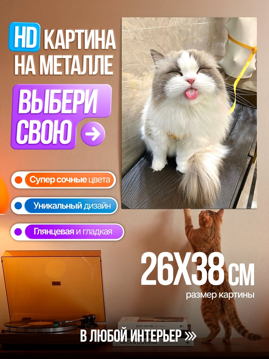 Картина на металле Кот с высунутым языком