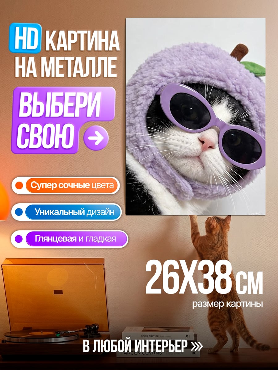 Картина на металле кот в очках