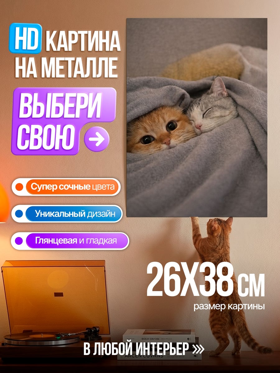 Картина на металле Два котенка в пледе
