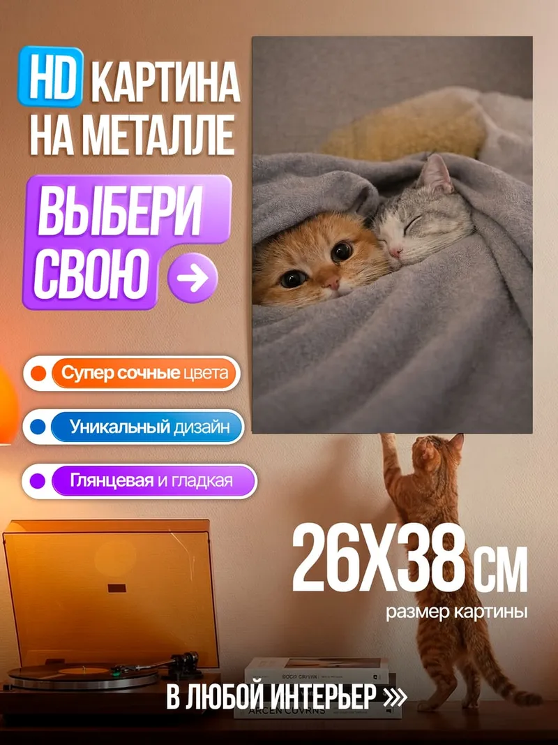 Картина на металле Два котенка в пледе
