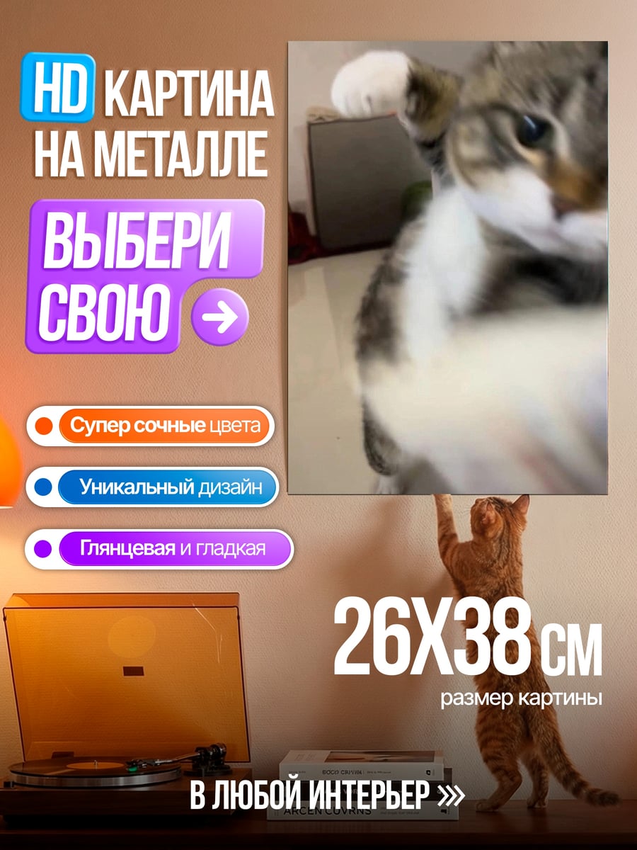 Картина на металле Кот делает селфи