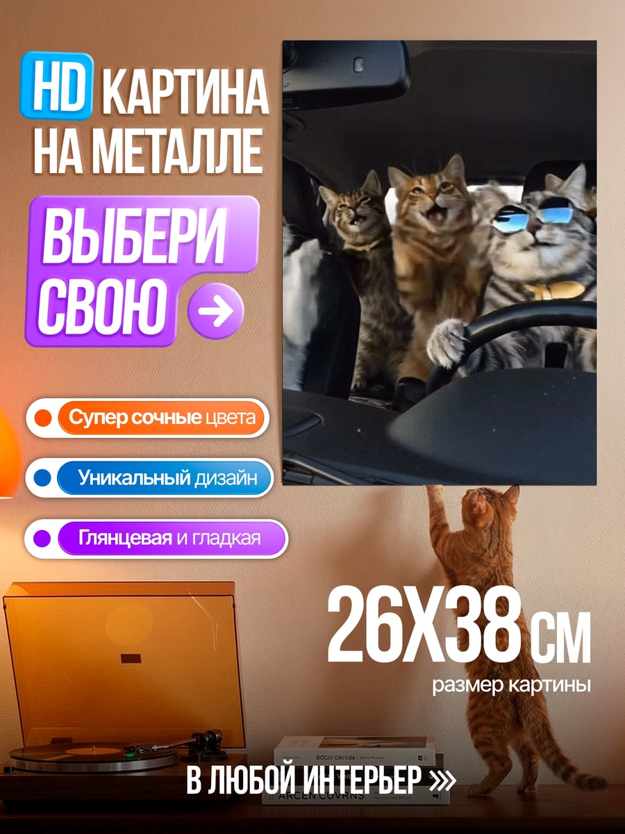 Картина на металле Коты за рулем