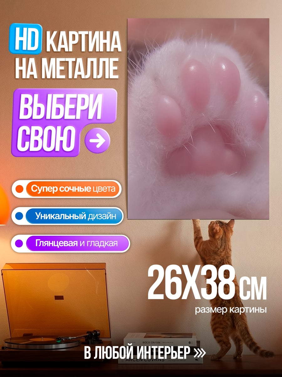 Картина на металле Лапка котенка