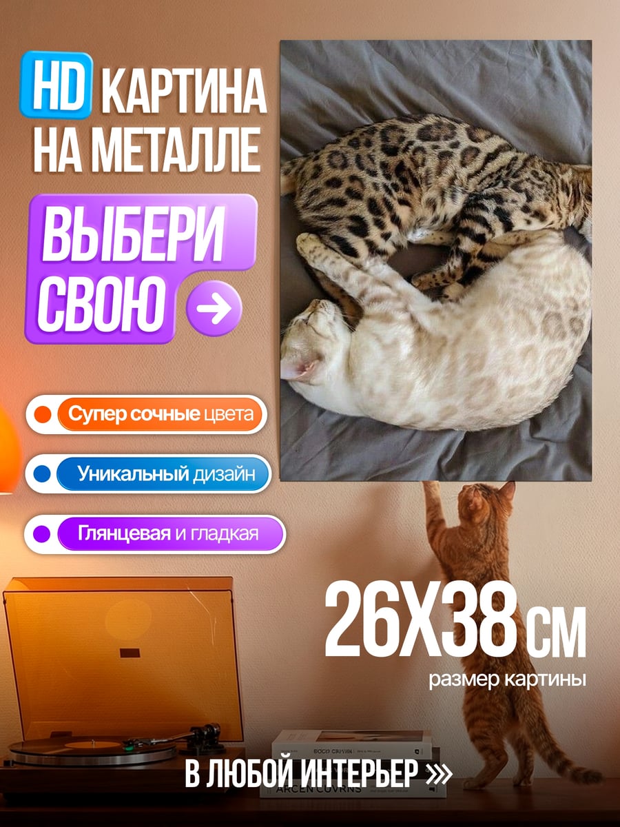 Картина на металле Два бенгальских кота