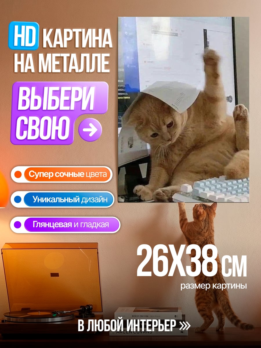 Картина на металле Кот за компьютером