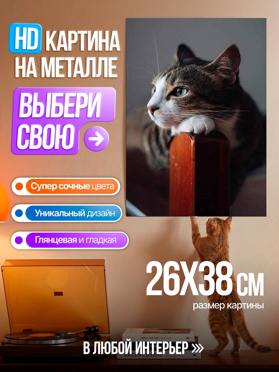 Картина на металле Кот смотрит вдаль