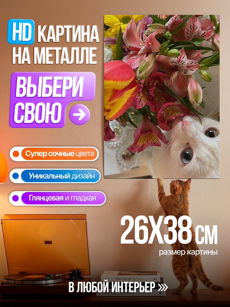 Картина на металле Белый котенок и цветы