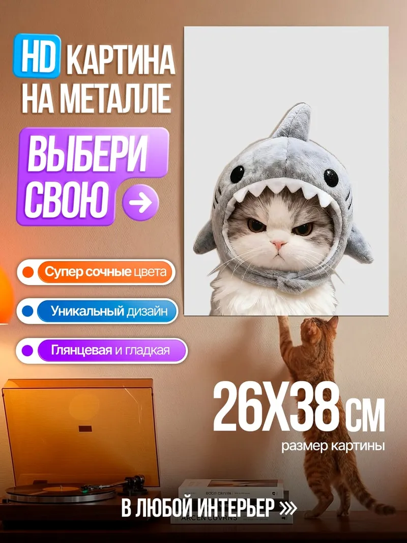 Картина на металле Кот в костюме акулы