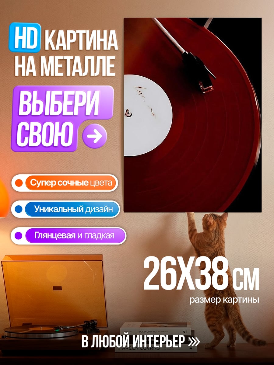 Картина на металле Виниловая пластинка