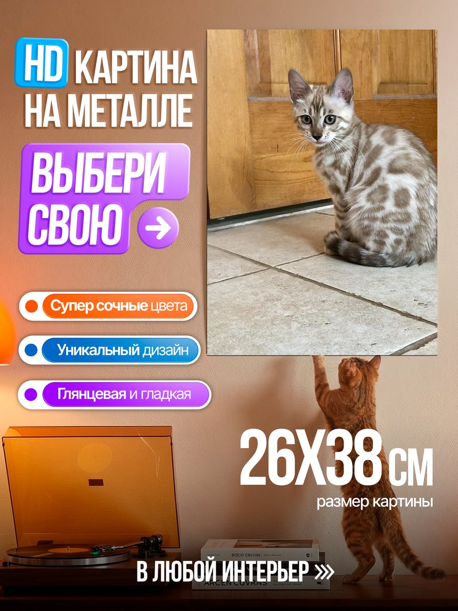 Картина на металле Бенгальский котенок