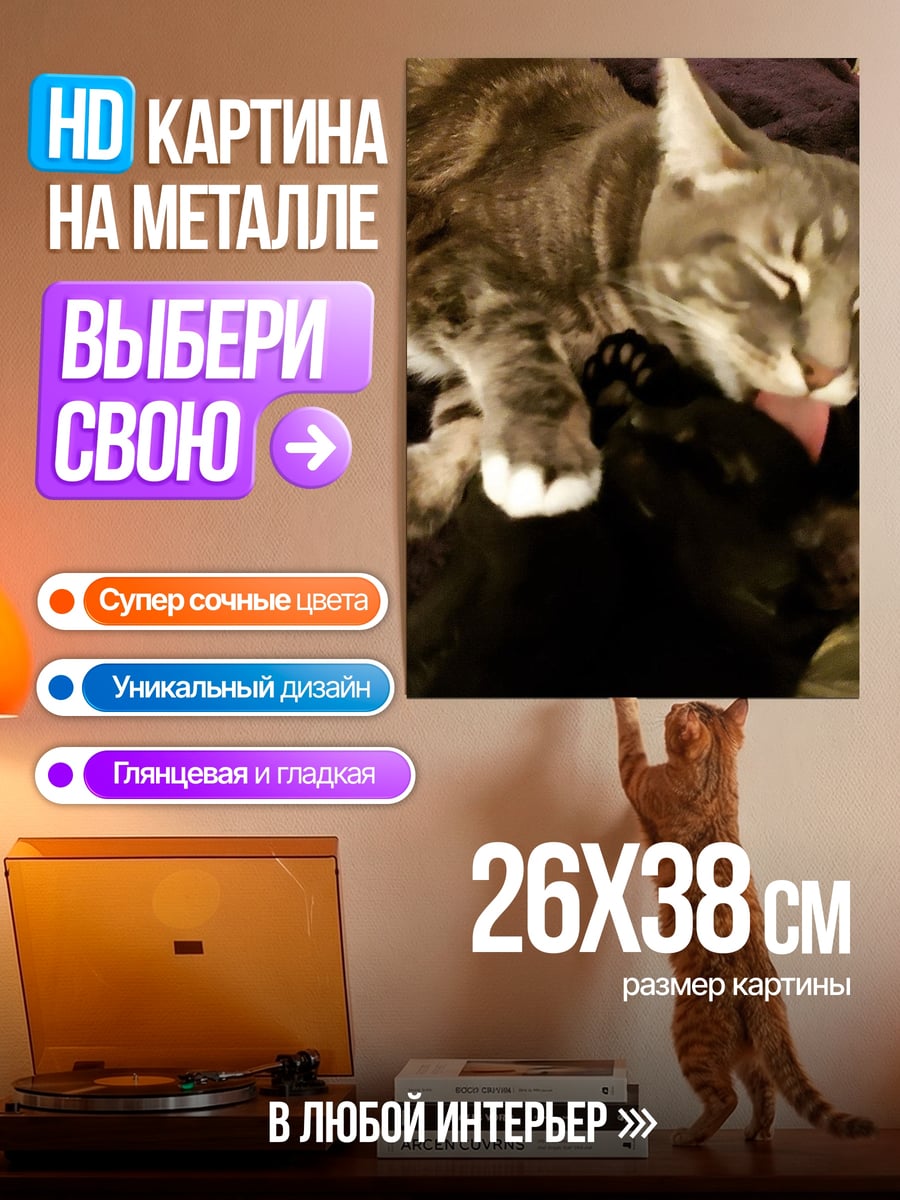 Картина на металле Два кота
