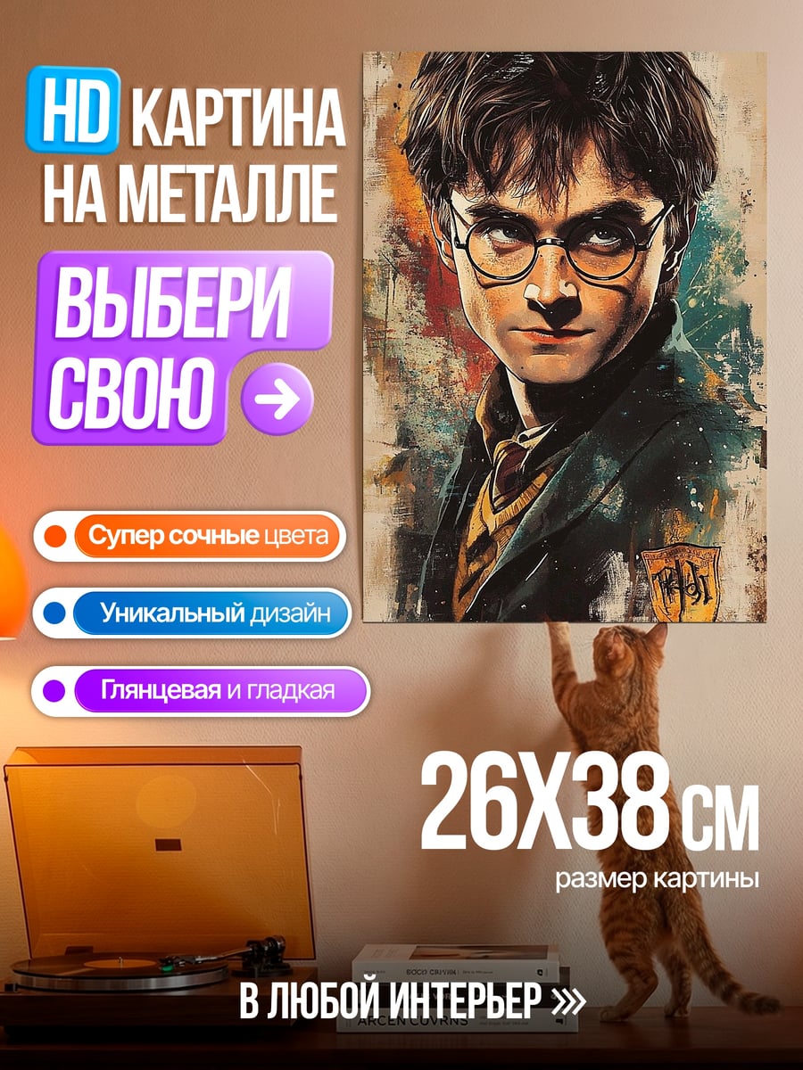 Картина на металле Гарри Поттер очки