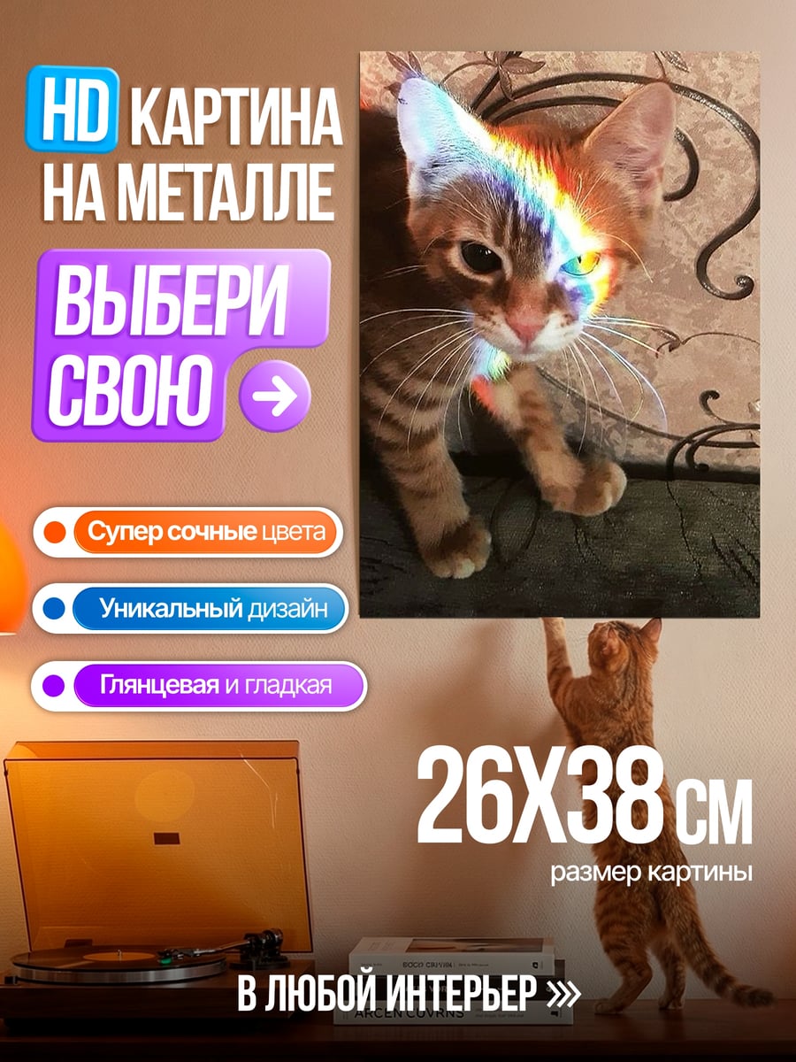 Картина на металле Кот с радужным бликом