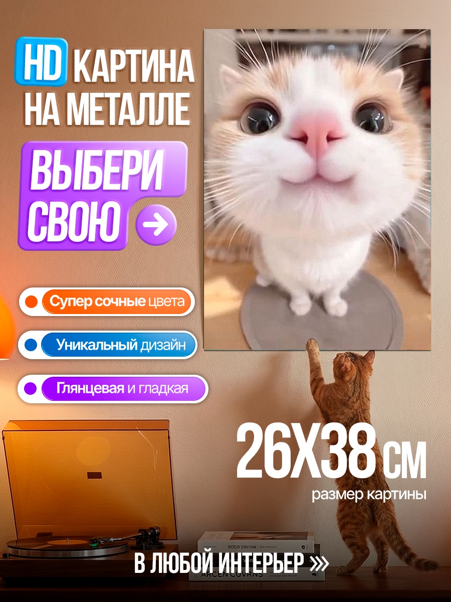 Картина на металле Кот крупным планом