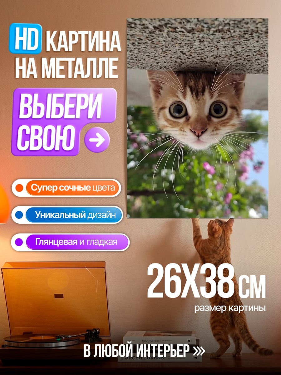 Картина на металле Любопытный котенок