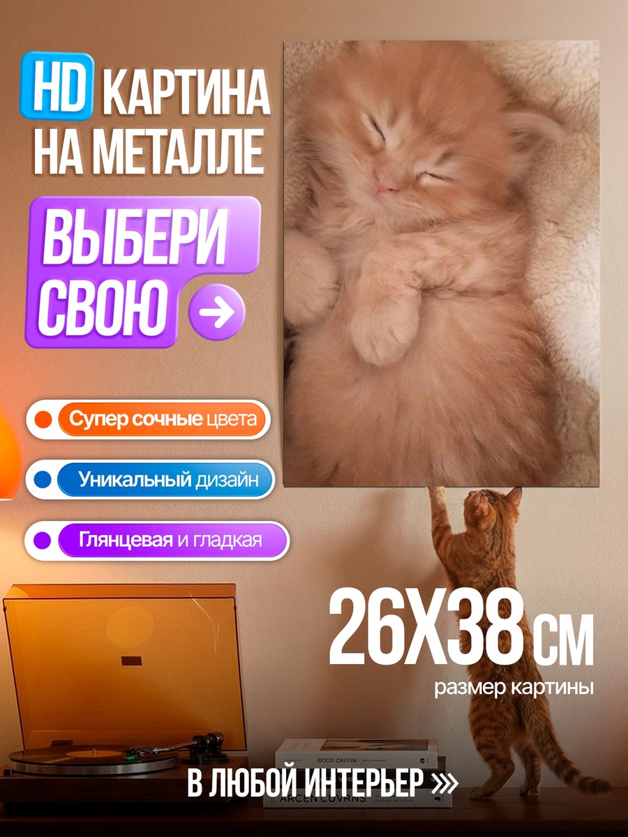 Картина на металле Милый котенок