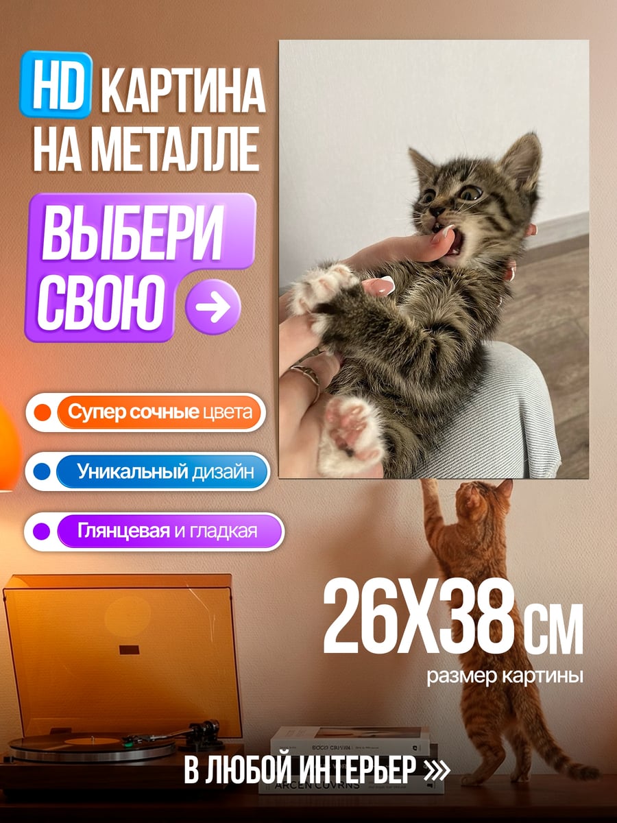 Картина на металле Котёнок кусает руку