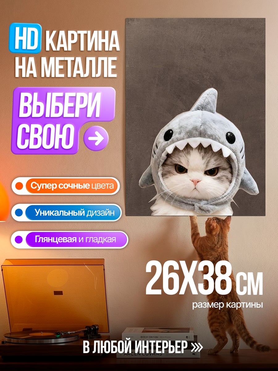 Картина на металле Кот акула