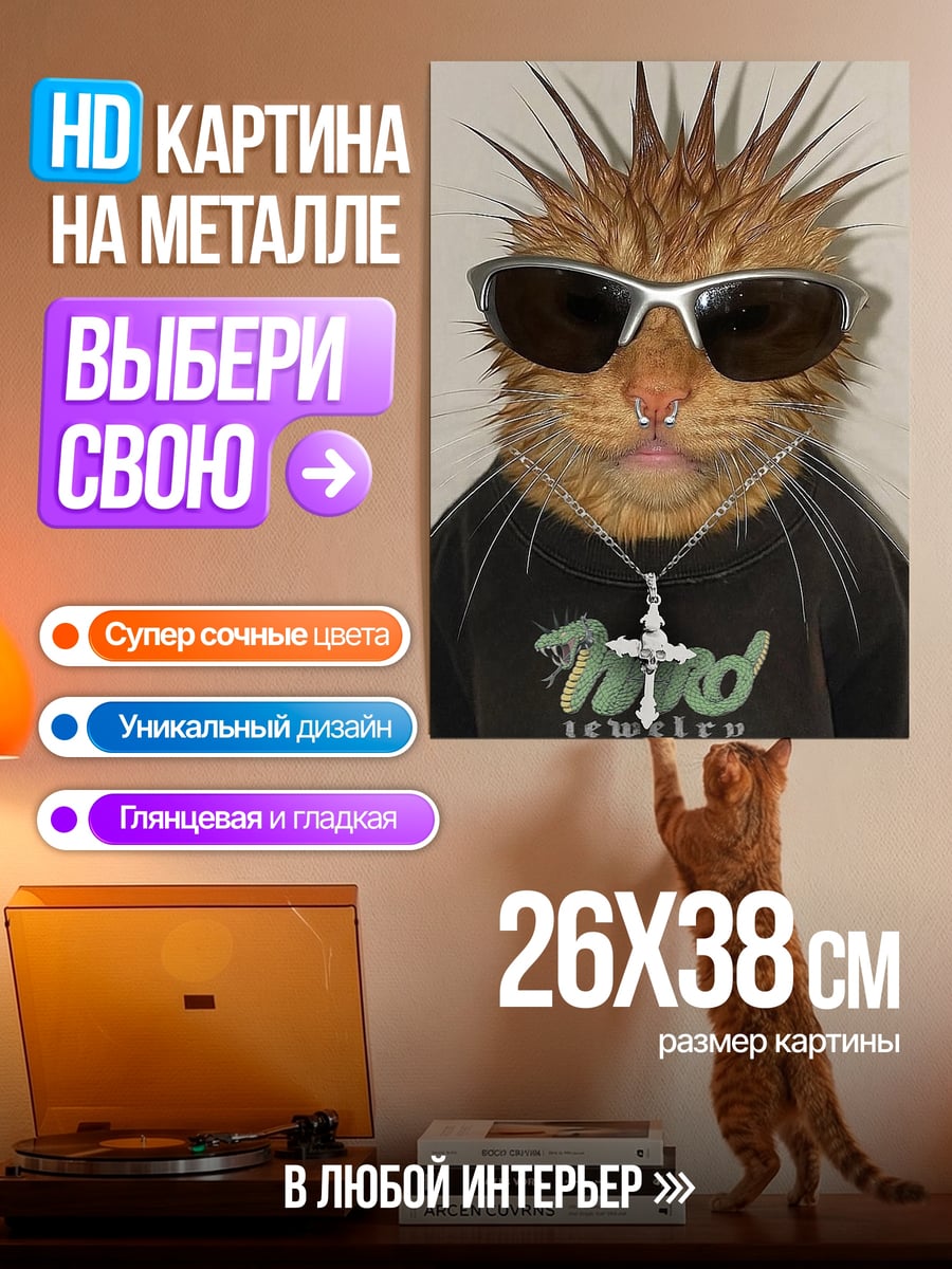 Картина на металле Кот панк