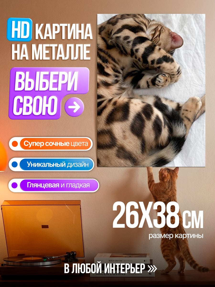 Картина на металле Спящий бенгальский кот