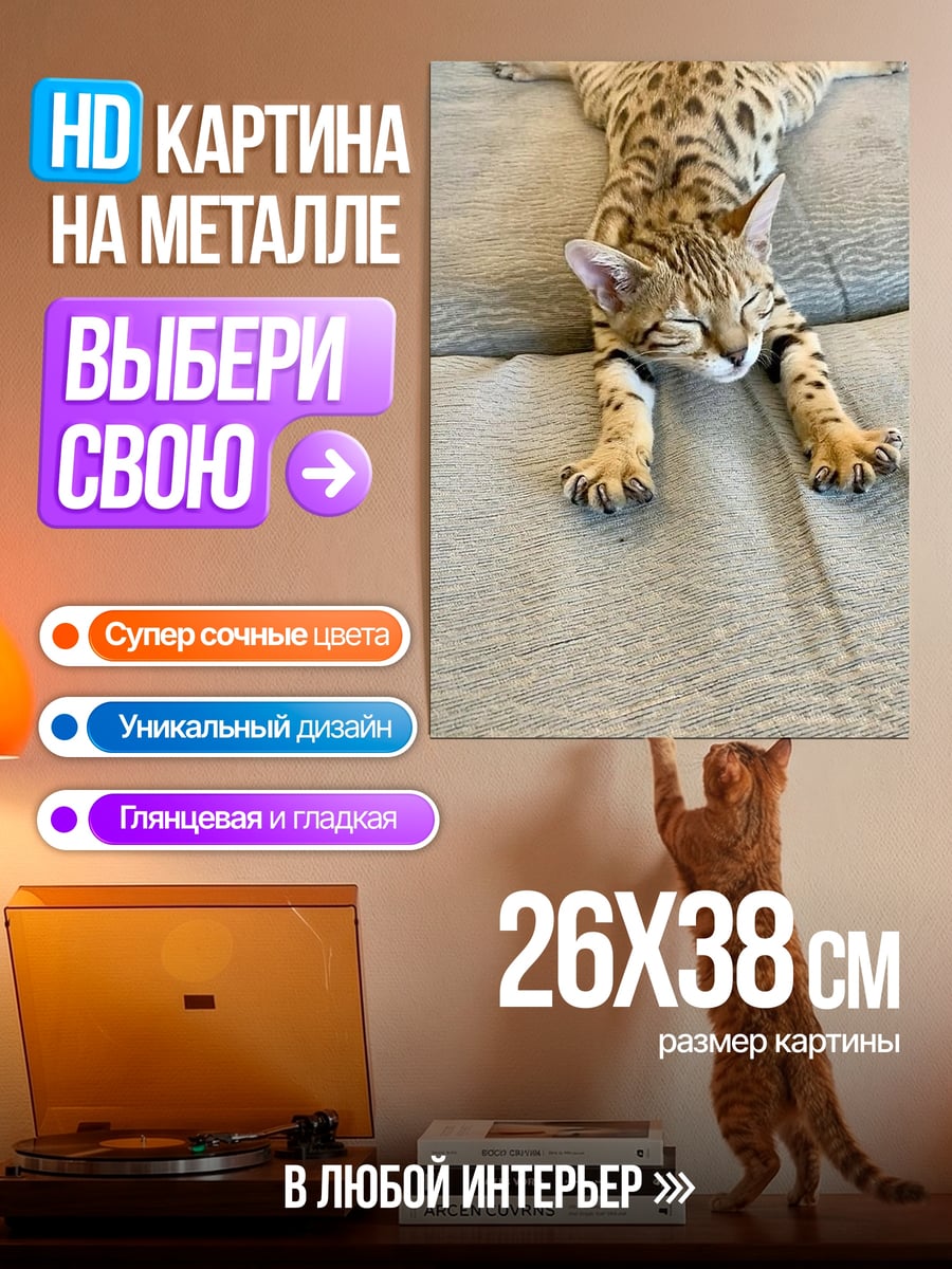 Картина на металле Ленивый бенгальский кот