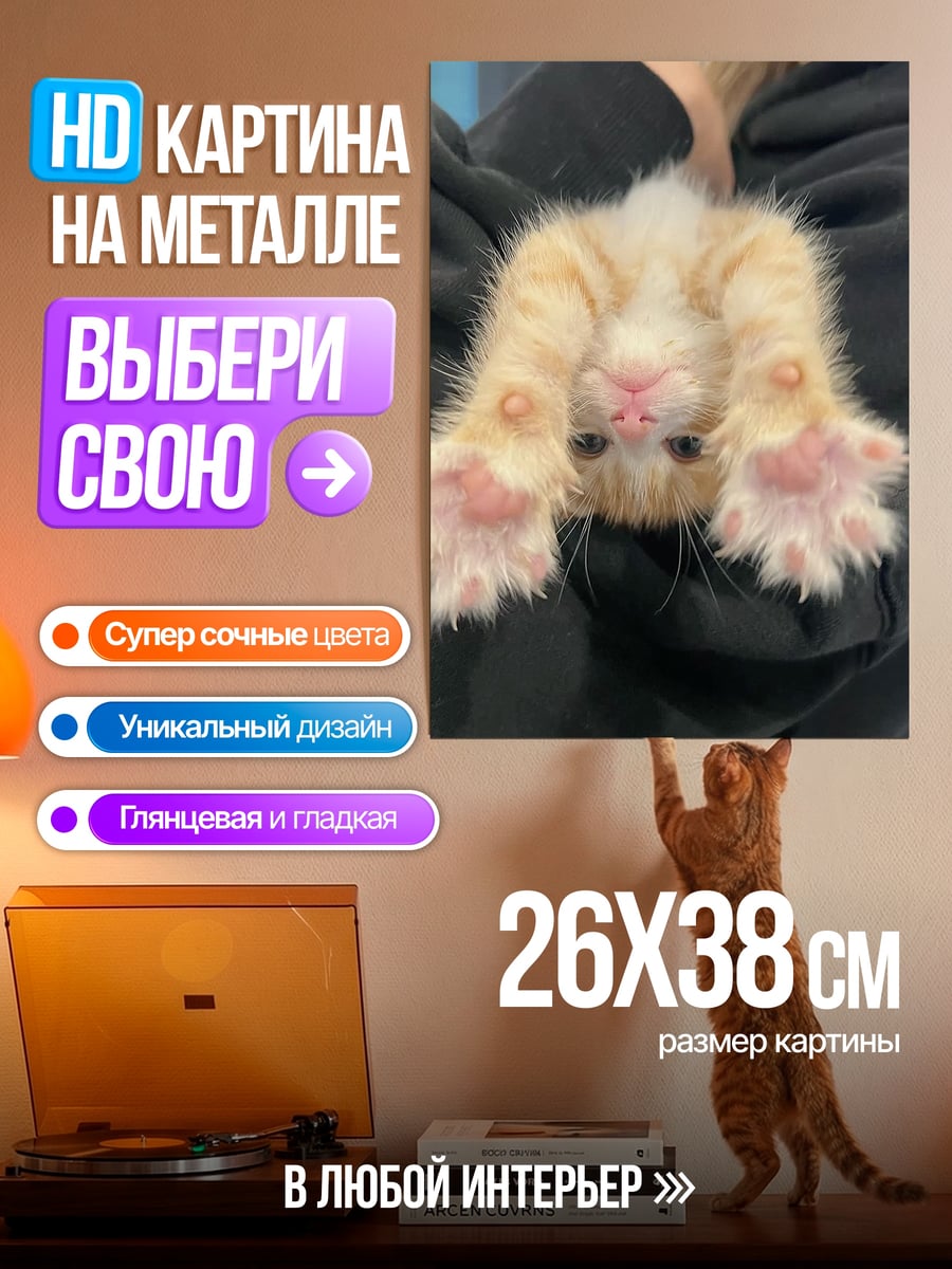 Картина на металле Котёнок на руках